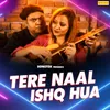 About Tere Naal Ishq Hua Song